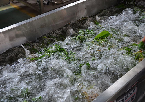 道康宁1520蜜桃视频一区二区三区